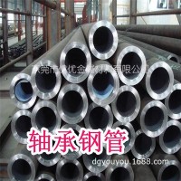 优优现货德国100CR2轴承钢 100CR2轴承钢材 100CR2圆棒