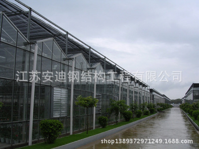 安迪供应 玻璃温室 顶部全开启式连栋温室 温室大棚 连栋温室