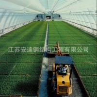 供应钢结构网架连栋温室大棚，厂家直接供货