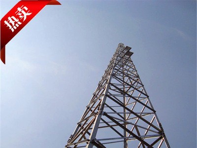 厂家供应GJT钢管避雷针塔 避雷塔 角钢避雷塔