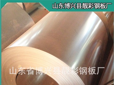 厂家特供耐腐蚀无花镀锌板 环保带花保温镀锌铁皮卷