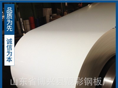 厂家直销定制0.5 0.6 0.7厚乳白保温彩钢板生产批发