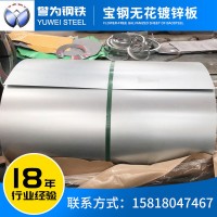 厂家镀锌板卷 电解板白铁皮 宝钢无花镀锌板现货镀锌钢板热镀锌