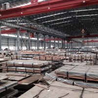 宝钢冷轧卷滚动轴承钢结构件用钢 GCR6 105CR2 E50100