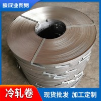 佛山现货供应SGCC精准平直冷轧卷 dc04冷轧钢带厂家