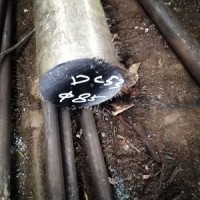 东北特钢供应 乐从DC53圆钢DC53车光料口罩机齿模滚齿专用钢