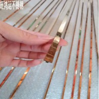 304不锈钢钛金实心T型条一体式型装饰条门边装饰线条拉丝玫瑰金T6