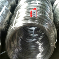 长期供应优质美标304 2.0MM不锈钢弹簧丝 SUS304