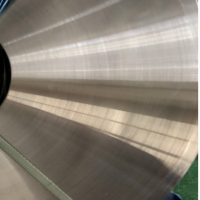 东莞供应SUS301精密不锈钢带 高硬度高韧性弹簧钢 厂家直销可分条