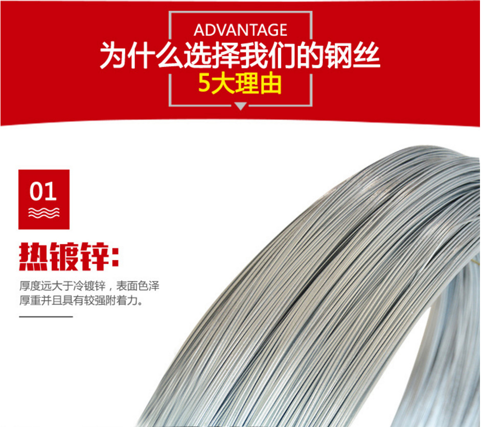 钢丝5