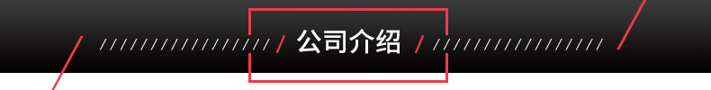 公司介绍