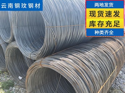 钢材批发厂家供应圆盘线材 规格齐全质量保障 盘螺线材支持定制