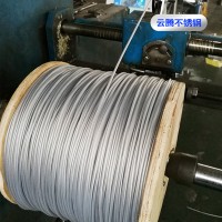 批发销售304不锈钢包塑包胶涂塑钢丝绳 可定制彩色包塑钢丝绳