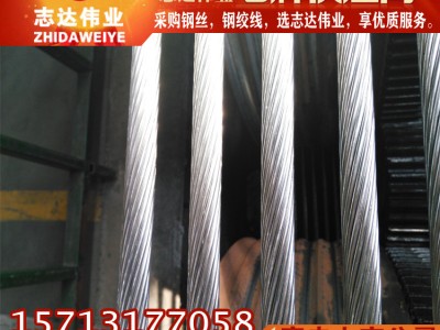 厂家供应JLB30A-100系列铝包钢芯铝绞线