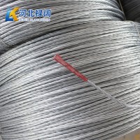 水果蔬菜大棚骨架用镀锌钢丝钢绞线 标准镀锌钢绞线多型号可选