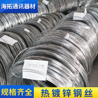 铁丝热镀锌钢丝农业不易生锈钢丝葡萄架猕猴桃蔬菜大棚镀锌钢丝线