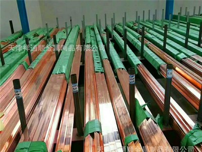 供应镀锡紫铜排 10mm*250mm镀锡铜排厂家