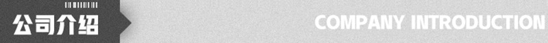 公司介绍