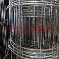 外墙专用热镀锌电焊网 工地用建筑防护网 电焊铁丝网