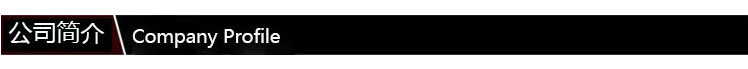 公司简介