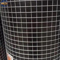 厂家现货供应镀锌电焊网建筑用外墙保温抹墙用铁丝电焊网