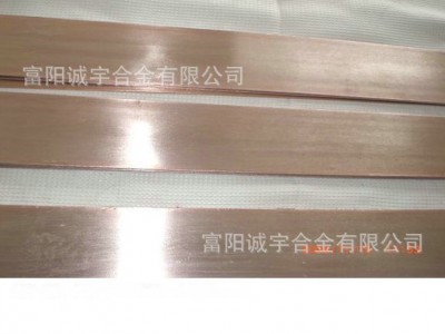 厂家直销供应耐腐蚀铜镍8NC012铜皮加工