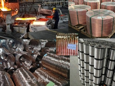 正负极柱 铜负极极柱电池端子用红铜杆 交货及时