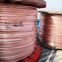 接地线 多股铜绞线 硬铜绞线TJr 120平铜绞线 定做交货快