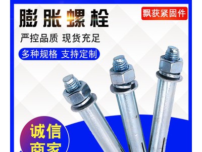 现货供应国标碳钢镀锌大小头膨胀螺丝 拉爆加长膨胀螺栓M6-M24
