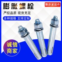 现货供应国标碳钢镀锌大小头膨胀螺丝 拉爆加长膨胀螺栓M6-M24