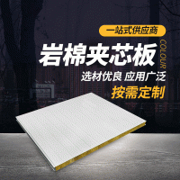 加工定制岩棉夹心瓦净化板隔热 岩棉板岩棉彩钢夹心板