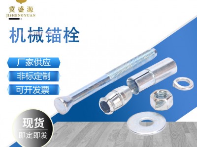 机械锚栓 304 316不锈钢化学锚栓 械锚栓 后扩式锚栓