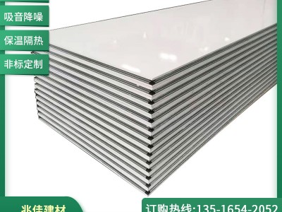 厂家批发中空玻镁手工净化板 手工玻镁夹芯彩钢板 中空玻镁板定制