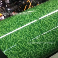 山东厂家 0.3/0.4/0.5彩钢卷 小草彩钢板 黑黄警示带 规格齐全