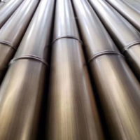 供应四川不锈钢201仿竹节管 动物园熊猫公园仿竹子景观灯饰用管