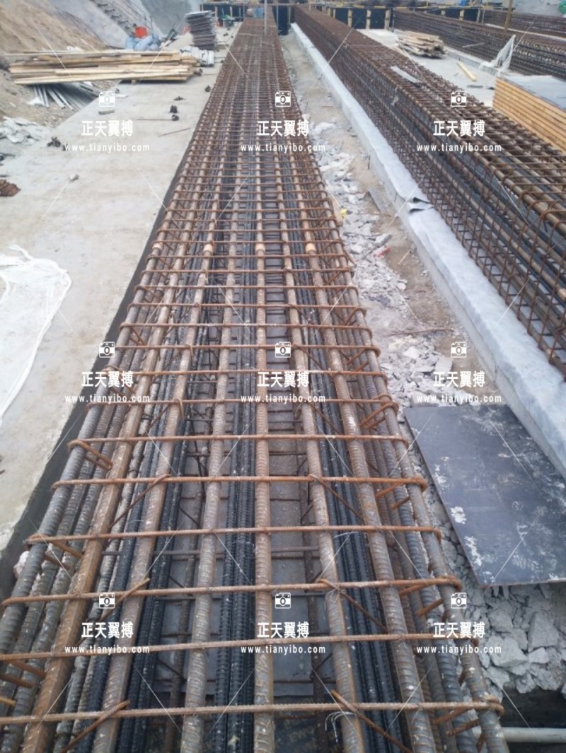 11668275624_872342727