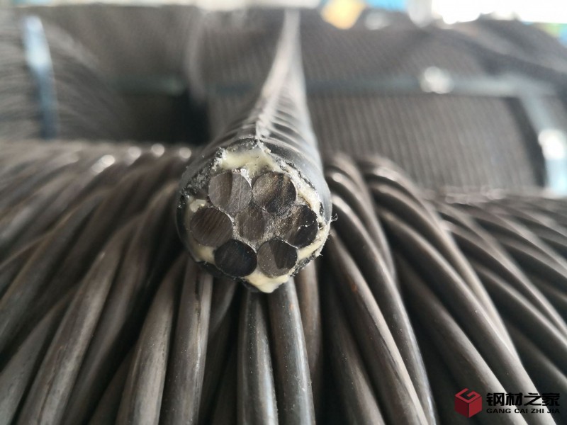 11560645759_872342727