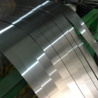 304不锈钢带 弹簧片切割打孔 定制加工 0.7 0.8 0.9mm