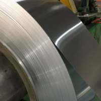 不锈钢带 304精密钢卷 弹簧片 0.1 0.2 0.3mm 定制切割垫片