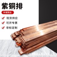 T2红铜排厂家 现货供应 镀锡紫铜排TMY接地母线排 黄紫红铜板带棒