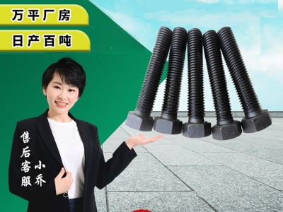 厂家供应GB30镀锌螺栓 高强度镀彩锌螺丝 8.8级外六角达克罗螺栓