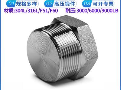 批发 外六角实心堵头 NPT耐400KG高压管件 304/316L丝牙螺纹堵头