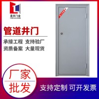 大量批发甲级单开防火门 钢质隔热水井门管道井门防火门 资质齐全