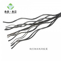 高盛 电梯门机钢丝绳3.18mm油丝绳6x19-WSC