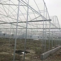 薄膜连栋温室 种植温室大棚 农业薄膜大棚 厂家供应