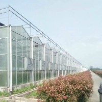 玻璃温室 茶叶温室大棚瓜果养殖温室大棚 厂家供应