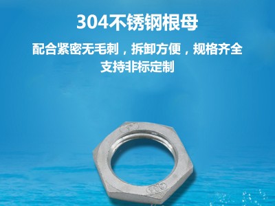 304/316不锈钢管精铸根母 丝扣阀门管件 水暖消防配件 1寸2寸