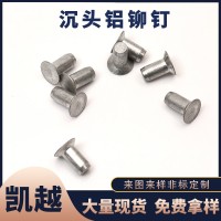 批发沉头铝铆钉 铝制实心铆钉 平帽铝钉 锥型平头柳钉 可支持